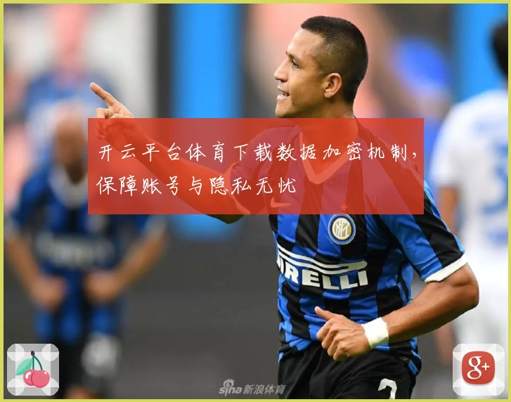 开云平台体育下载数据加密机制，保障账号与隐私无忧