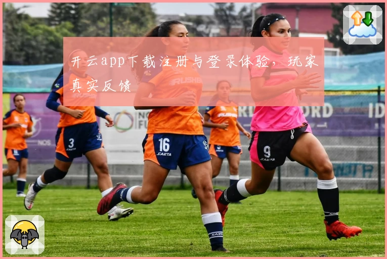 开云app下载注册与登录体验，玩家真实反馈