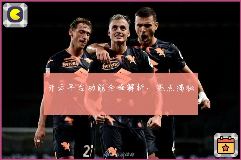 开云平台功能全面解析，亮点揭秘
