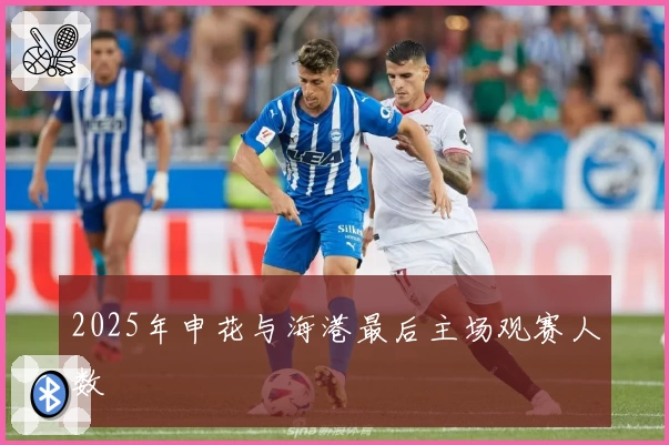 2025年申花与海港最后主场观赛人数