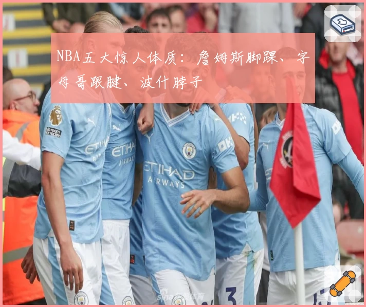 NBA五大惊人体质：詹姆斯脚踝、字母哥跟腱、波什脖子