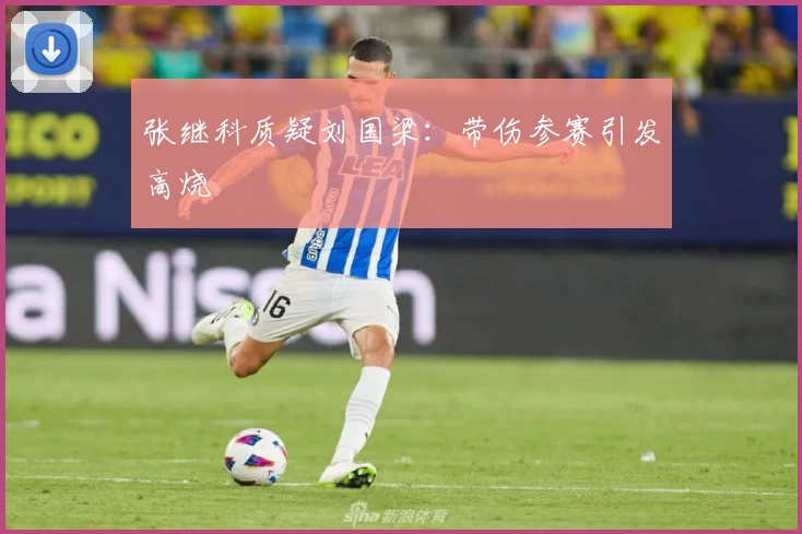 张继科质疑刘国梁：带伤参赛引发高烧